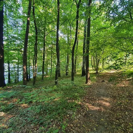 Narie 2 Bogaczewo (Ostroda)